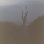 104_lagerplatz_im_nebel