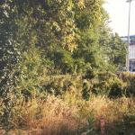 006_heim_august_2001