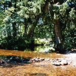 016_sippenfahrt_2003