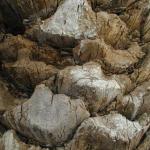 031_tunesien_2004
