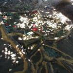 048_tunesien_2004