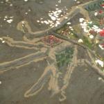 050_tunesien_2004