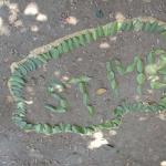 056_tunesien_2004