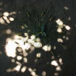 059_tunesien_2004