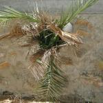 109_tunesien_2004