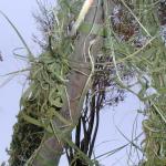 136_tunesien_2004
