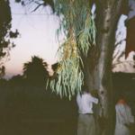 044_tunesien_2003