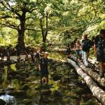 146_slowenien_2004