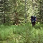 044_schweden_2005