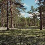 071_schweden_2005