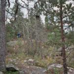 052_schweden_2005_jascha