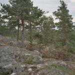 054_schweden_2005_jascha