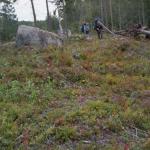 056_schweden_2005_jascha