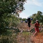 039_sommerfahrt_2006_korsika