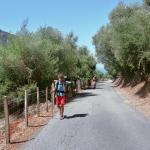 223_sommerfahrt_2006_korsika