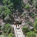 250_sommerfahrt_2006_korsika