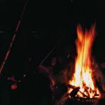 034_landesversammlung_2007