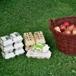 039_kinder_und_jugendfestival_2007