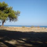 041_sommerfahrt_italien_2007