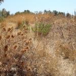 064_sommerfahrt_italien_2007