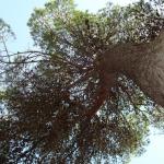 078_sommerfahrt_italien_2007