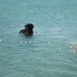160_sommerfahrt_italien_2007