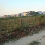 165_sommerfahrt_italien_2007