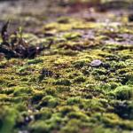 024_pfadiheim_oktober_2007