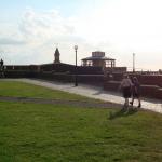 DSC03170