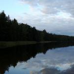 DSC03341