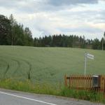 DSC03567