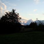DSC03596