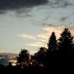 DSC03604