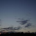 DSC03657