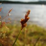DSC03785