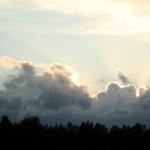 DSC03791