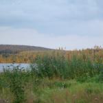 DSC04197