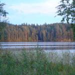 DSC04198