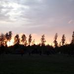 DSC04199
