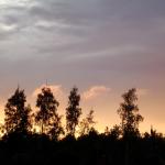 DSC04200