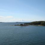 DSC04354