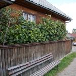 SONY DSC