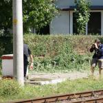 SONY DSC