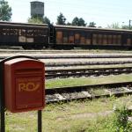 SONY DSC