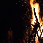 SONY DSC