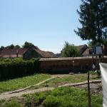SONY DSC