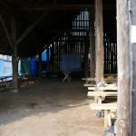SONY DSC