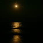 SONY DSC