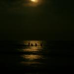 SONY DSC