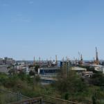SONY DSC